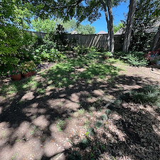 Shaded-Backyard-Solution-with-Pet-Friendly-Artificial-Turf-in-Garland-TX 6